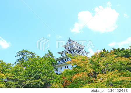 岐阜県郡上市、郡上八幡城の風景 136432458
