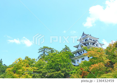 岐阜県郡上市、郡上八幡城の風景 136432459