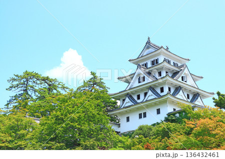 岐阜県郡上市、郡上八幡城の風景 136432461