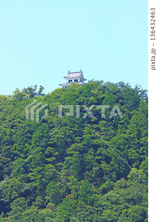 岐阜県郡上市、郡上八幡城の風景 136432463