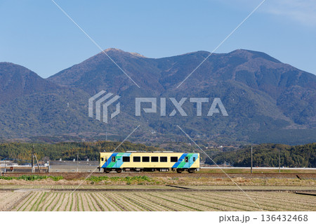 福智山をバックに走る平成筑豊鉄道400型「菜の花号」 136432468