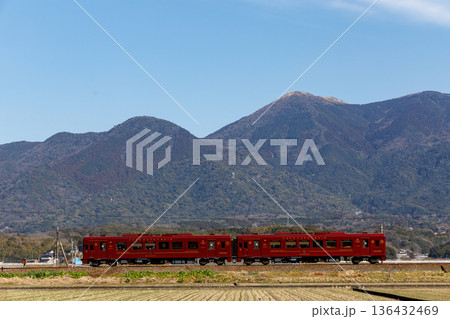 福智山をバックに走る平成筑豊鉄道「ことこと列車」 福智山をバックに走る平成筑豊鉄道「ことこと列車」 136432469