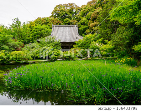 【奈良県】天理市 長岳寺 (2024/05/15撮影) 【奈良県】天理市 長岳寺 (2024/05/15撮影) 136433798