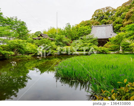 【奈良県】天理市 長岳寺 (2024/05/15撮影) 136433800