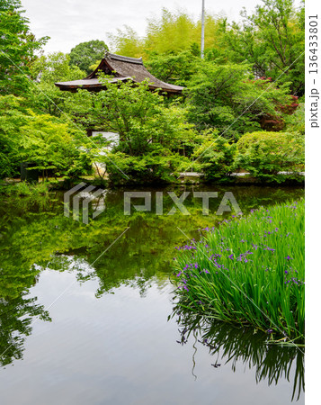 【奈良県】天理市 長岳寺 (2024/05/15撮影) 【奈良県】天理市 長岳寺 (2024/05/15撮影) 136433801
