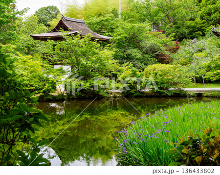 【奈良県】天理市 長岳寺 (2024/05/15撮影) 【奈良県】天理市 長岳寺 (2024/05/15撮影) 136433802