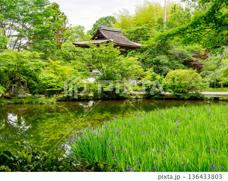 【奈良県】天理市 長岳寺 (2024/05/15撮影) 136433803