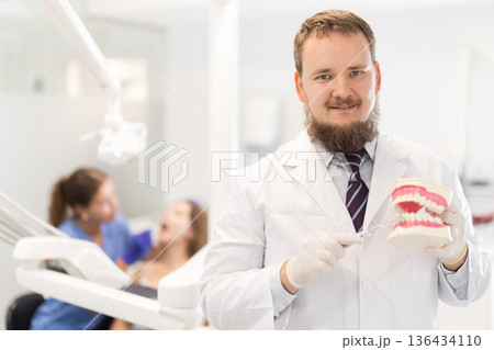 Male dentist holds a model of teeth and invites clients to visit the dentist Male dentist holds a model of teeth and invites clients to visit the dentist 136434110