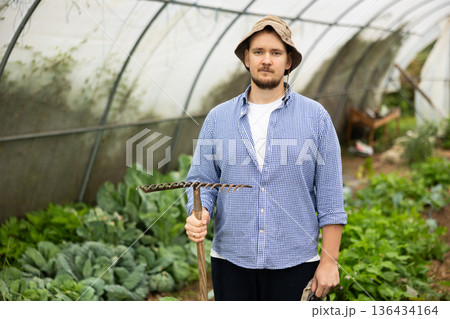 Portrait of man inside greenhouse with harvest of vegetables and cabbage Portrait of man inside greenhouse with harvest of vegetables and cabbage 136434164