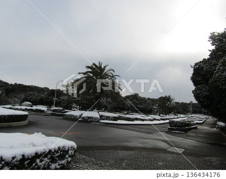 稲毛海浜公園の入り口の雪景色 136434176