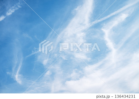 春の空 青空 晴れ 2月 【東京都】 春の空 青空 晴れ 2月 【東京都】 136434231