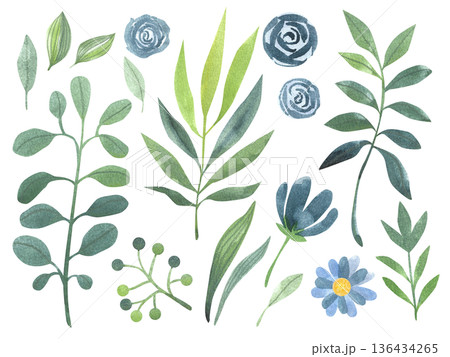 Set of hand-drawn watercolor illustrations of flowers and leaves. A spring-summer collection of colorful plants. Set of hand-drawn watercolor illustrations of flowers and leaves. A spring-summer collection of colorful plants. 136434265