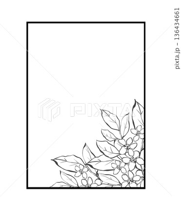 Minimalist floral rectangular frame line art isolated Minimalist floral rectangular frame line art isolated 136434661