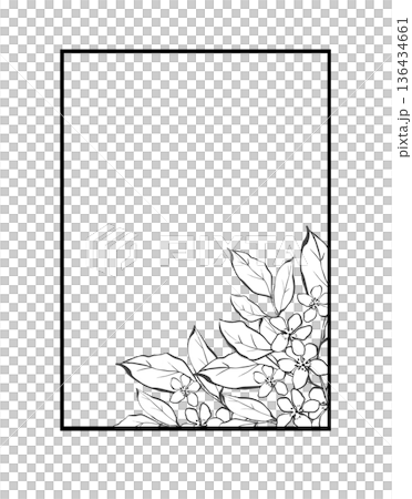 Minimalist floral rectangular frame line art isolated Minimalist floral rectangular frame line art isolated 136434661