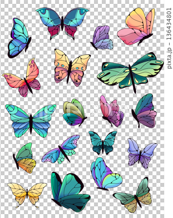 Set of butterflies isolated on white background. 136434801