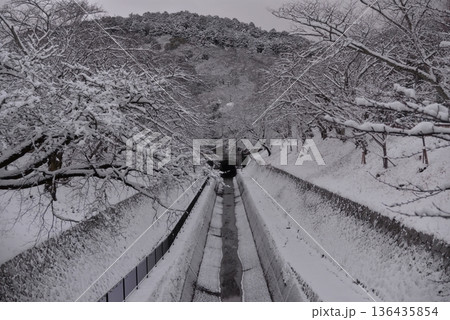 雪の琵琶湖疎水 136435854