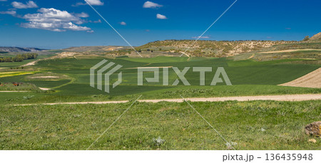 Agricultural Fields, Spain 136435948