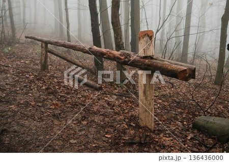 Wooden barrier blocking a forest trail on a foggy autumn day. Misty woodland atmosphere conveys restriction, boundary, isolation and quiet nature dominance Wooden barrier blocking a forest trail on a foggy autumn day. Misty woodland atmosphere conveys restriction, boundary, isolation and quiet nature dominance 136436000