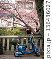 満開の桜と原付 136436027