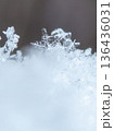 冬の朝にできた雪の結晶 136436031