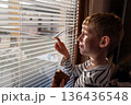 Boy looking through window blinds while holding a piece of cake, natural sunlight, indoor childhood lifestyle 136436548