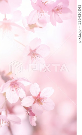 《AI画像》満開の桜 春のイメージ 136436843