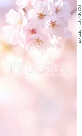 《AI画像》満開の桜 春のイメージ 136436853