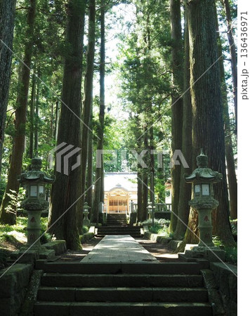 静寂な参道 静寂な参道 136436971