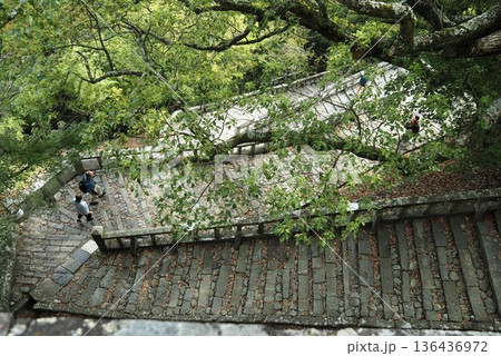 長い石段 長い石段 136436972