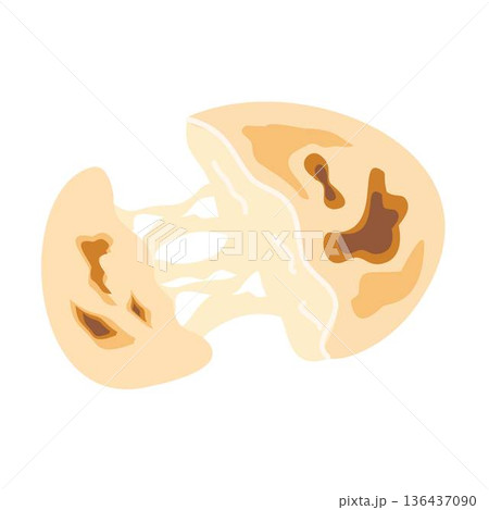 Arepas with Cheese, Delicious Cheesy Bread with Melting Mozzarella 136437090