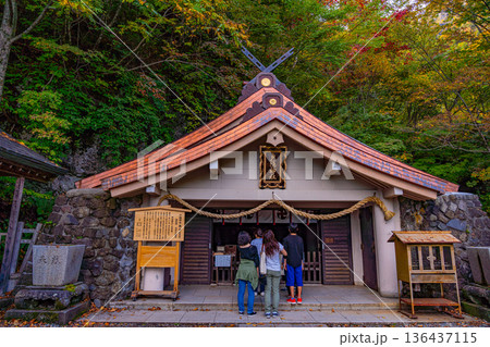 (長野県)戸隠神社 紅葉に包まれた奥社 (長野県)戸隠神社 紅葉に包まれた奥社 136437115