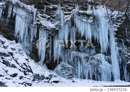 三十槌の氷柱 秩父 三十槌の氷柱 秩父 136437216