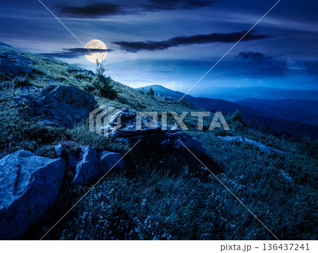 mountain landscape in summer at night. alpine scenery with steep grassy slope under blue sky in full moon light. beautiful view of coniferous tree near rock formations among lush grass. remote place 136437241