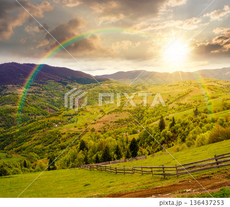rolling hills of rural landscape in green grass at sunset. wooden fence in mountains in evening light. alpine countryside in spring. cloudy sky. hope, expectation, new beginning and bright future 136437253