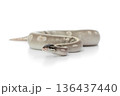 Mystic Potion Ball Python Coiled on White Background 136437440