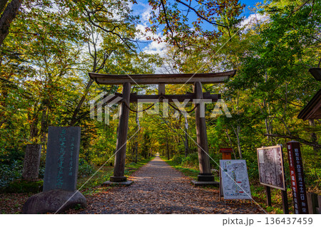 (長野県)戸隠神社 奥社参道の大鳥居 (長野県)戸隠神社 奥社参道の大鳥居 136437459