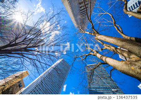 日本の東京都市景観 日本経済の憂鬱…新宿副都心の摩天楼などを望む。希望の光を…=令和8年2月9日 日本の東京都市景観 日本経済の憂鬱…新宿副都心の摩天楼などを望む。希望の光を…=令和8年2月9日 136437535