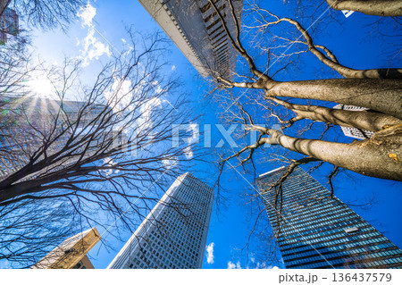 日本の東京都市景観 日本経済の憂鬱…新宿のオフィス街などを望む。耀きを求めて=令和8年2月9日 日本の東京都市景観 日本経済の憂鬱…新宿のオフィス街などを望む。耀きを求めて=令和8年2月9日 136437579