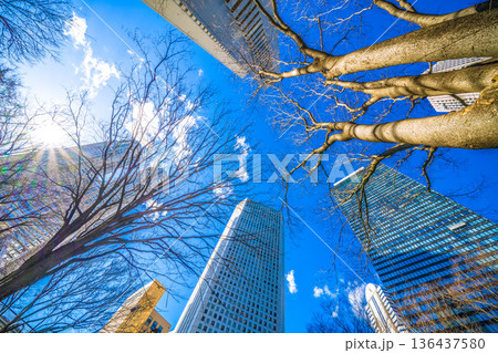 日本の東京都市景観 日本経済の憂鬱…新宿のオフィスビル群などを望む。耀きを求めて=令和8年2月9日 日本の東京都市景観 日本経済の憂鬱…新宿のオフィスビル群などを望む。耀きを求めて=令和8年2月9日 136437580