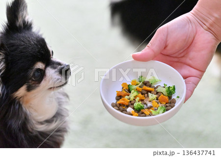 高齢犬向け　プレミアムドッグフードに野菜・サプリのトッピング 136437741