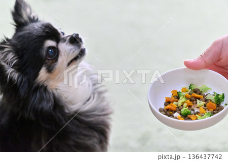 高齢犬向け プレミアムドッグフードに野菜・サプリのトッピング 高齢犬向け プレミアムドッグフードに野菜・サプリのトッピング 136437742