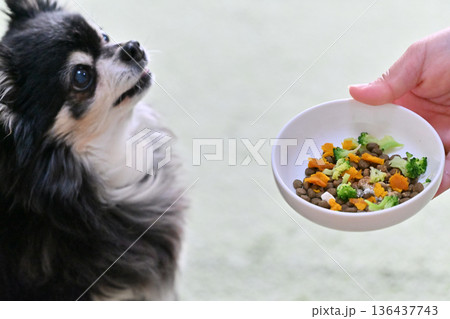 高齢犬向け プレミアムドッグフードに野菜・サプリのトッピング 高齢犬向け プレミアムドッグフードに野菜・サプリのトッピング 136437743