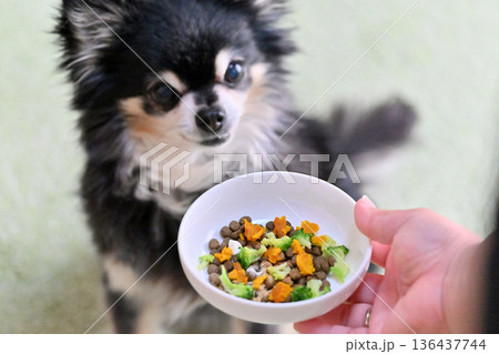 高齢犬向け　プレミアムドッグフードに野菜・サプリのトッピング 136437744