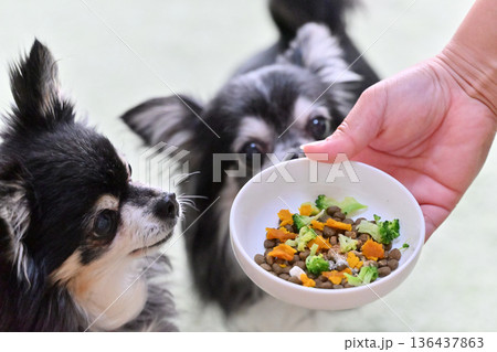 全年齢向け プレミアムドッグフードに野菜をトッピング バランスの良いエサ オールステージ 全年齢向け プレミアムドッグフードに野菜をトッピング バランスの良いエサ オールステージ 136437863