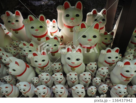 招き猫たち 136437942