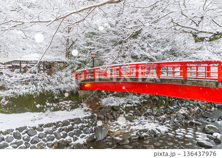 修善寺　竹林の小径　雪景色　（静岡県伊豆市） 136437976