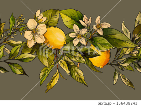 Lemons and tea botanical seamless pattern Lemons and tea botanical seamless pattern 136438243