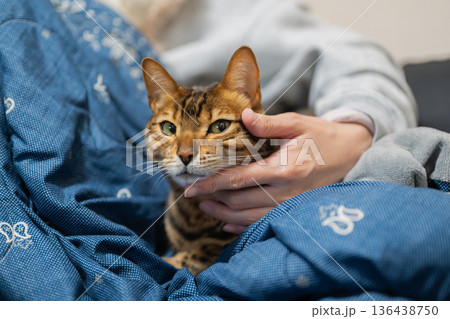 飼い主とくつろぐ猫 飼い主とくつろぐ猫 136438750