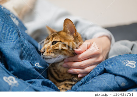 飼い主とくつろぐ猫 飼い主とくつろぐ猫 136438751