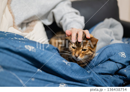 飼い主とくつろぐ猫 飼い主とくつろぐ猫 136438754